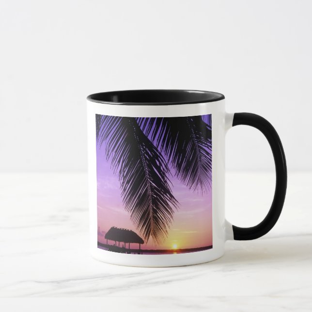Caneca Parque Estadual John Pennekamp, Florida Keys, Key (Direita)