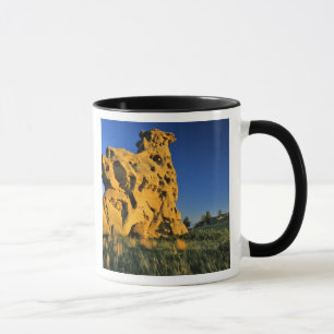 Caneca Parque Estadual Medicine Rocks perto de Ekalaka Mo