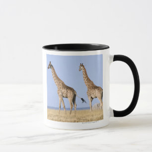 Caneca Parque nacional de Etosha, Namíbia