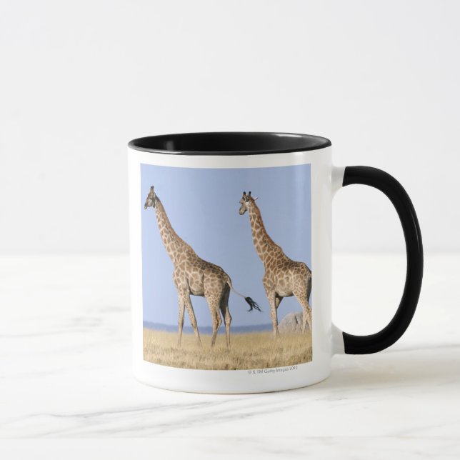 Caneca Parque nacional de Etosha, Namíbia (Direita)