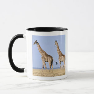 Caneca Parque nacional de Etosha, Namíbia 3