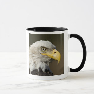 Caneca Parque nacional de Katmai, Alaska