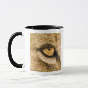 Caneca Parque nacional de Kruger, província de Limpopo,