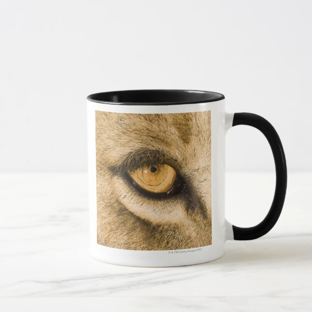 Caneca Parque nacional de Kruger, província de Limpopo (Direita)
