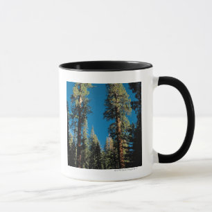Caneca Parque nacional de sequóia, Califórnia