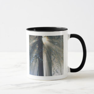 Caneca Parque Nacional de Yosemite - Raios de sol fluindo