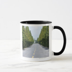 Caneca Parque nacional dos EUA, Yellowstone, estrada