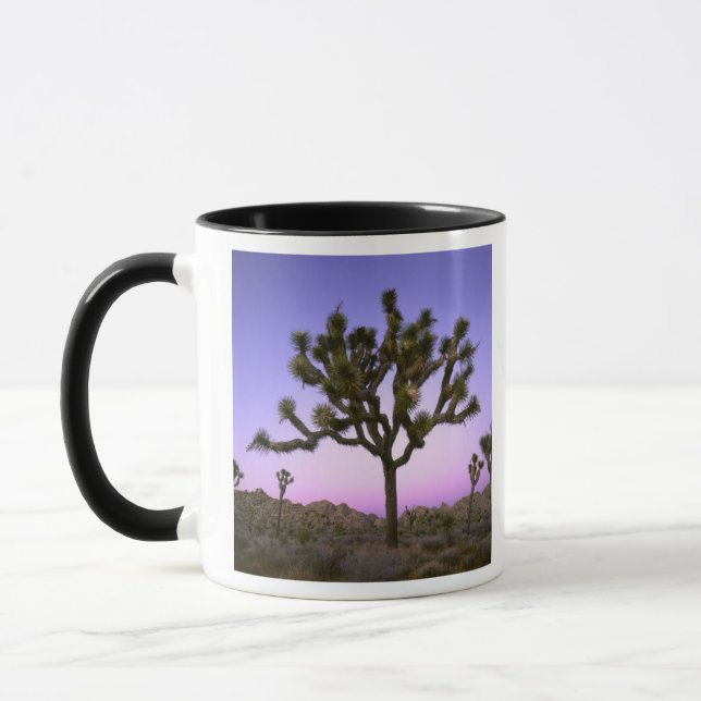 CANECA PARQUE NACIONAL JOSHUA TREE, CALIFÓRNIA. EUA. (Esquerda)