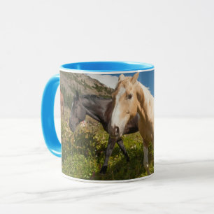 Caneca Parque Nacional North Cascades
