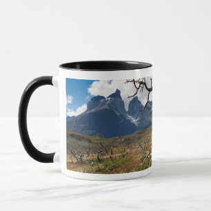 Caneca Parque Nacional Torres del Paine, árvores danific