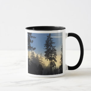 Caneca Parque Stanley, florestas, nevoeiro da camada mari