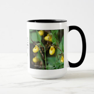Caneca Parviflorum do Cypripedium, senhora-deslizador
