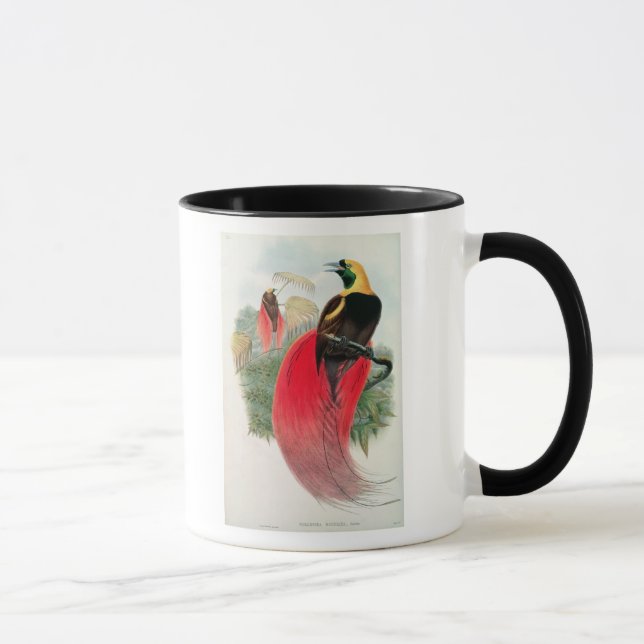 Caneca Pássaro de paraíso, gravado por T. Walter (Direita)