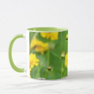 Caneca Pássaro-gato-cinzento em cerca de madeira