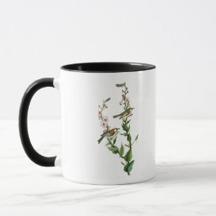 Caneca pássaros Castanha-tomados partido de Audubon da