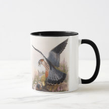 Pássaros de John Gould do falcão de Merlin de Grâ