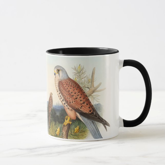 Caneca Pássaros de John Gould do falcão do Kestrel de Grâ (Direita)