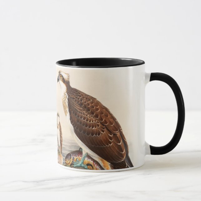 Caneca Pássaros de John Gould do falcão do mar do Osprey (Direita)