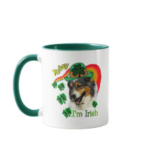 Pastor australiano St Patricks