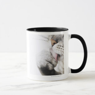 Caneca Pata da limpeza do gato