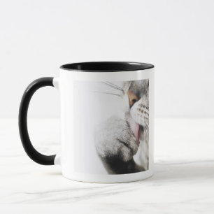 Caneca Pata da limpeza do gato