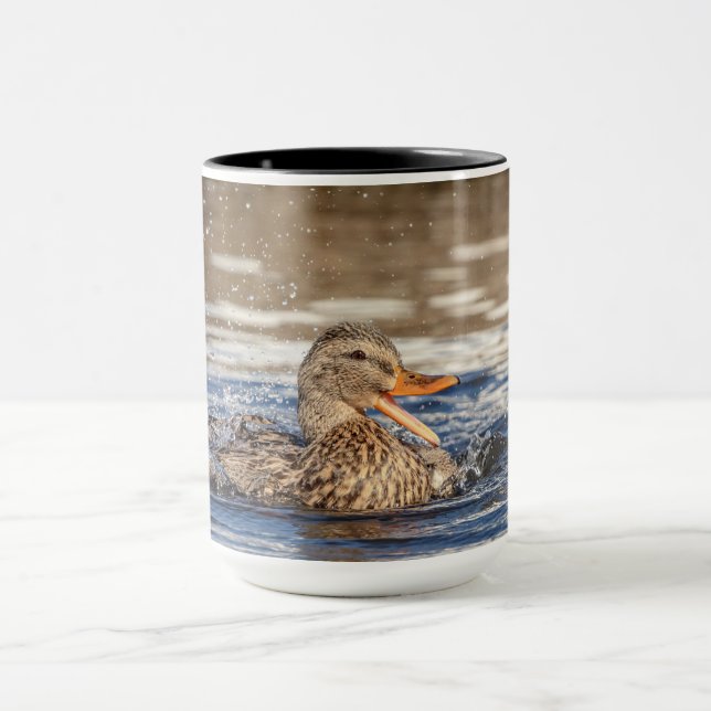 Caneca Pato de Mallard no parque Downing (Centro)