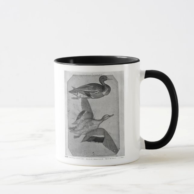 Caneca Patos, o do álbum de Vallardi (Direita)