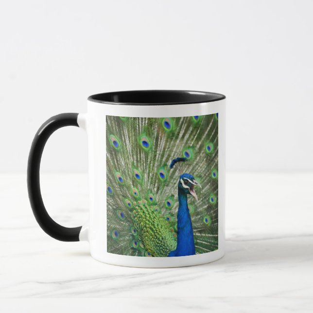 Caneca Pavão gritando (Esquerda)
