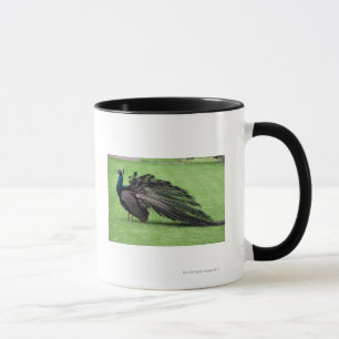 Caneca Pavão no campo