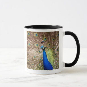 Caneca Pavão que indica a plumagem