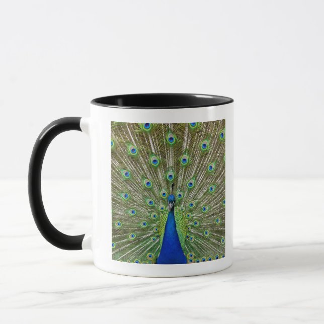 Caneca Pavão que mostra suas penas (Esquerda)