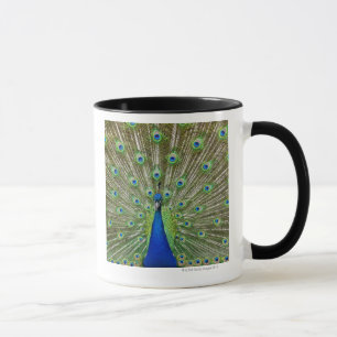 Caneca Pavão que mostra suas penas, como parte da