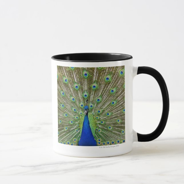 Caneca Pavão que mostra suas penas, como parte da (Direita)