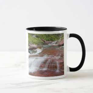 Caneca Pedra vermelha em Baring Creek na Glacier National