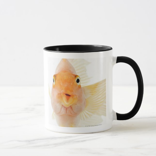 Caneca Peixes de água doce tropicais (Direita)