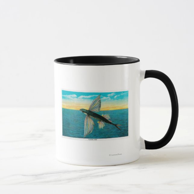 Caneca Peixes Voadores na Ilha Catalina (Direita)