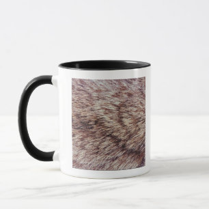 Caneca Pele do lince