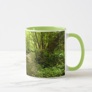 Caneca Perdido Homem Creek I no Parque Nacional de Redwoo