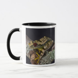 Caneca Perereca-de-olho-vermelho-africana, Leptopelis