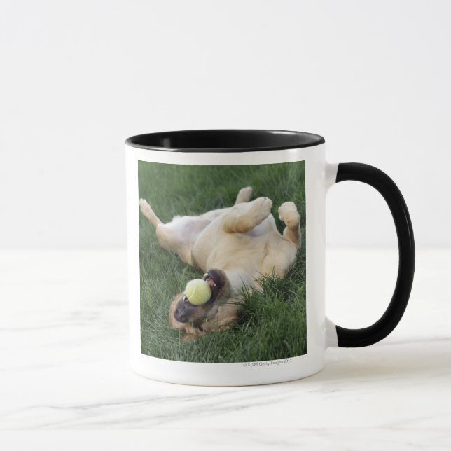 Caneca Persiga a colocação upside-down na grama com bola (Direita)