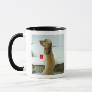 Caneca Persiga a posição em um sofá com um presente
