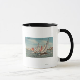 Caneca Petersburgo, FL - Vista da Regata Relâmpago