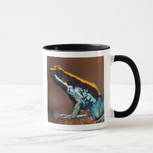 Caneca Phyllobates vittatus, um sapo de veneno