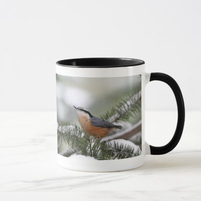Caneca Pica-pau-cinzento no ramo nevado no inverno (Direita)