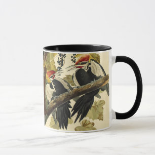 Caneca Pica-Pau Pileado, John James Audubon