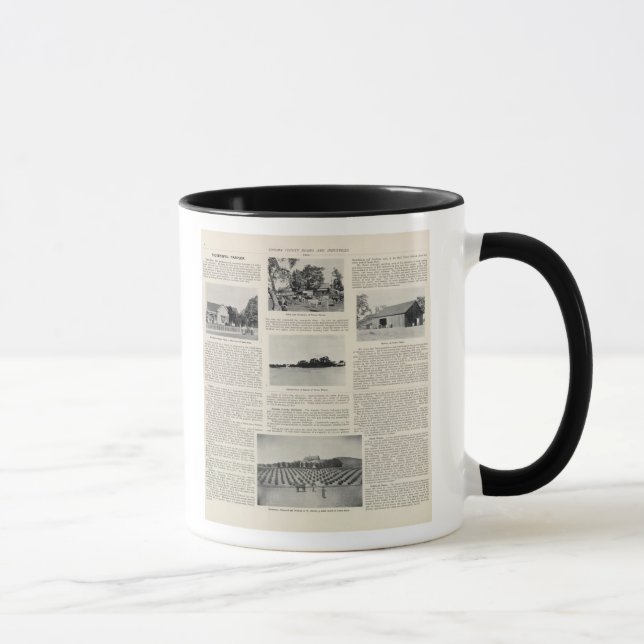 Caneca Piezzi Ranch, Harris Vineyard, Califórnia (Direita)