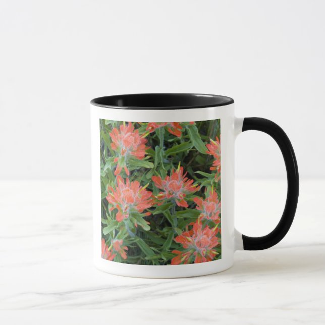 Caneca Pincéis de índio em Many (Direita)