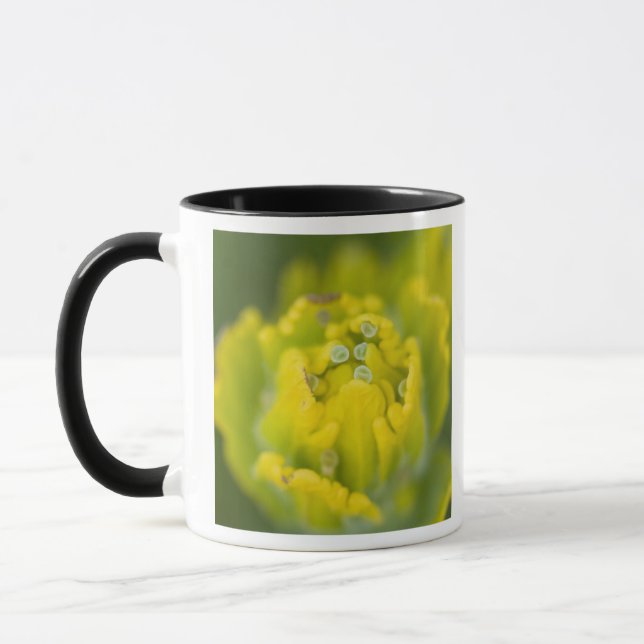 Caneca Pincel de Ouro Indiano Castilleja 2 (Esquerda)