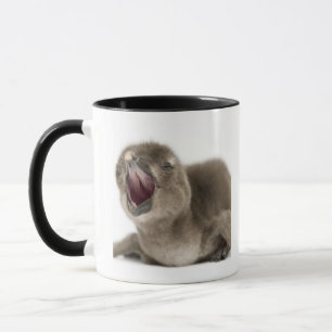 Caneca Pinguim africano novo - Spheniscus demersus.