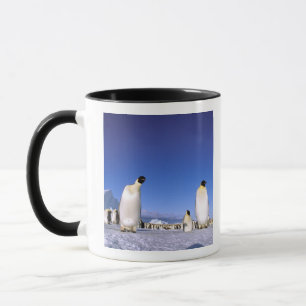 Caneca Pinguim   Antártida, Península Antártica